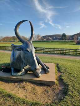 Dunn Cow Sculpture, Front ©DCC 25/03/2022